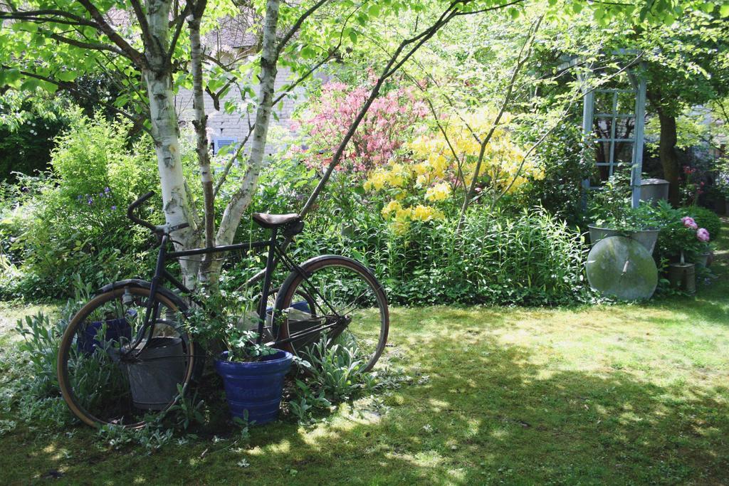 Le Bonheur A La Campagne Bed & Breakfast Lesmont Екстериор снимка